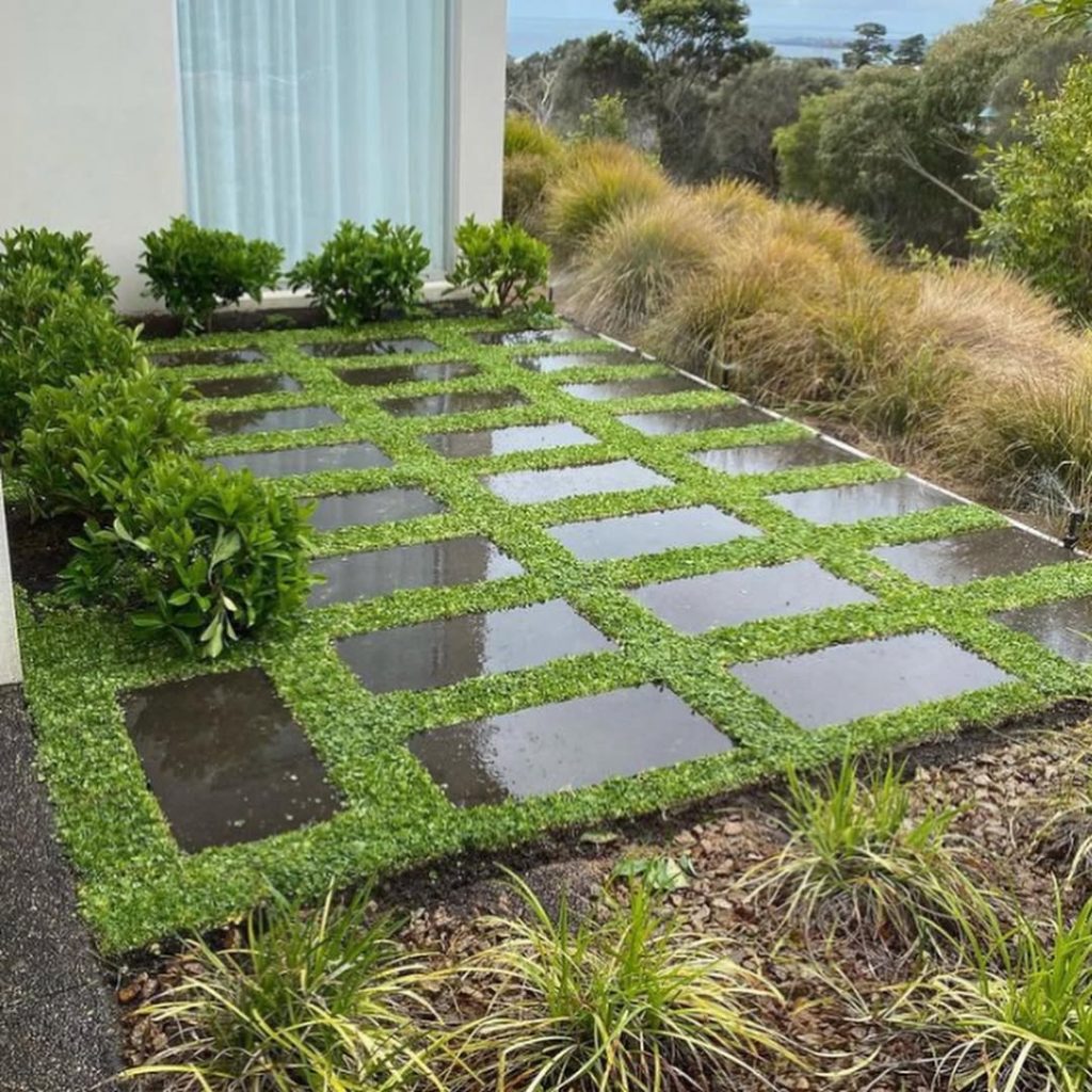 Natural stone pavers with lush ground cover in serene garden setting