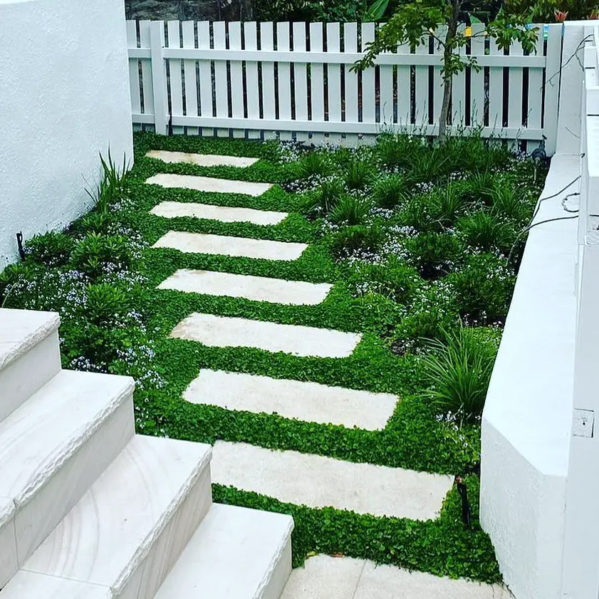 Stone pathway through wooded garden with natural ground cover