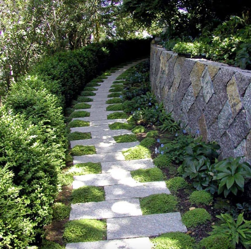 Modern stone pathway with geometric patterns and ornamental grasses