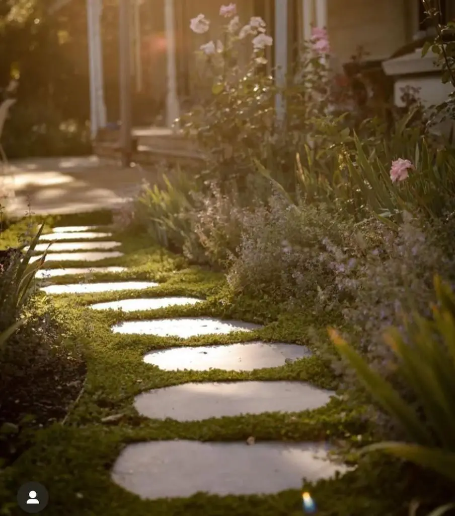 Sunlit garden path with round stones surrounded by flowers