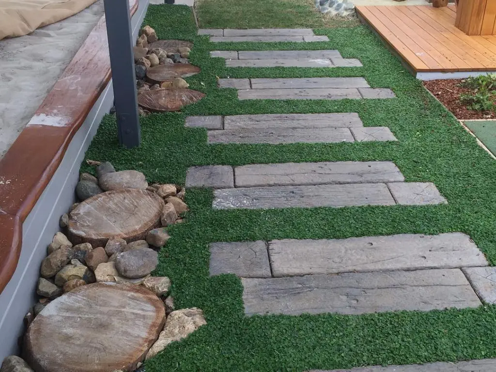 Wooden plank stepping stones surrounded by green ground cover and decorative rocks