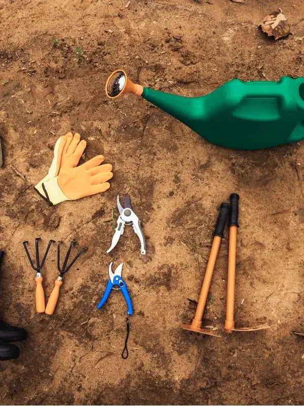 Gardening tools arranged on soil with watering can