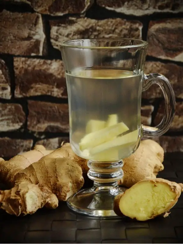 Ginger tea with fresh ginger root and slices